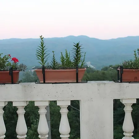 Farm stay Agriturismo Torello *
