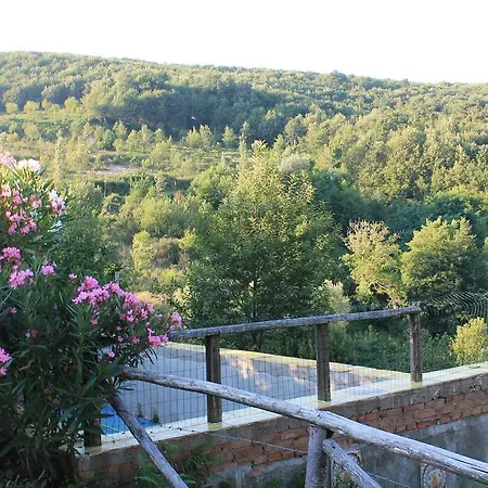 Vakantieboerderij Agriturismo Torello *
