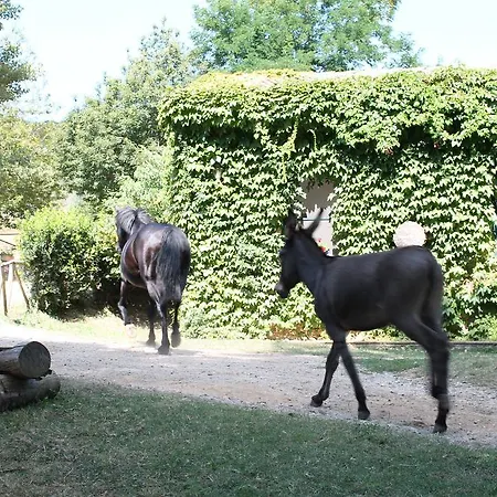 Agriturismo Torello