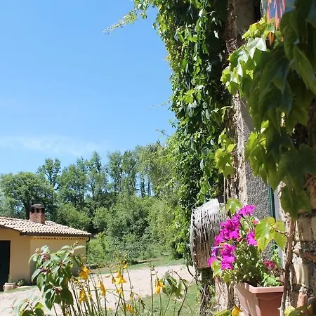 Farmház Agriturismo Torello