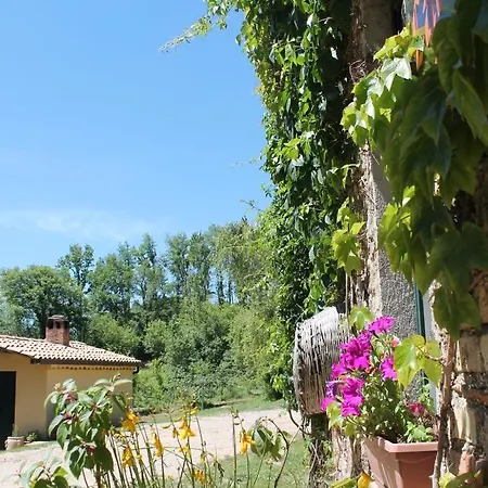 Farm stay Agriturismo Torello