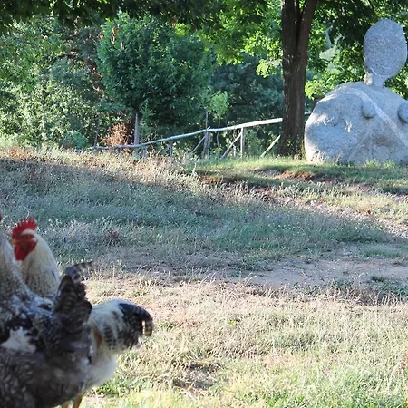 Farm stay Agriturismo Torello